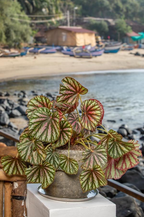 Casa Jaali Hotel Patnem Beach Exterior photo